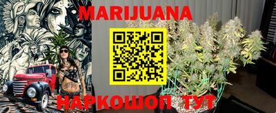 крисы Кандалакша