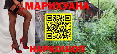 амф Камышлов